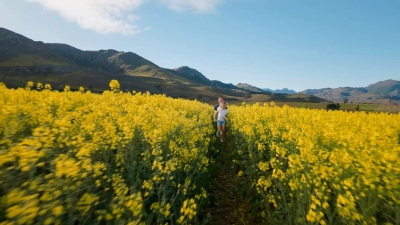 DJI's Pocket 4 weegt minder dan je telefoon en filmt 6K